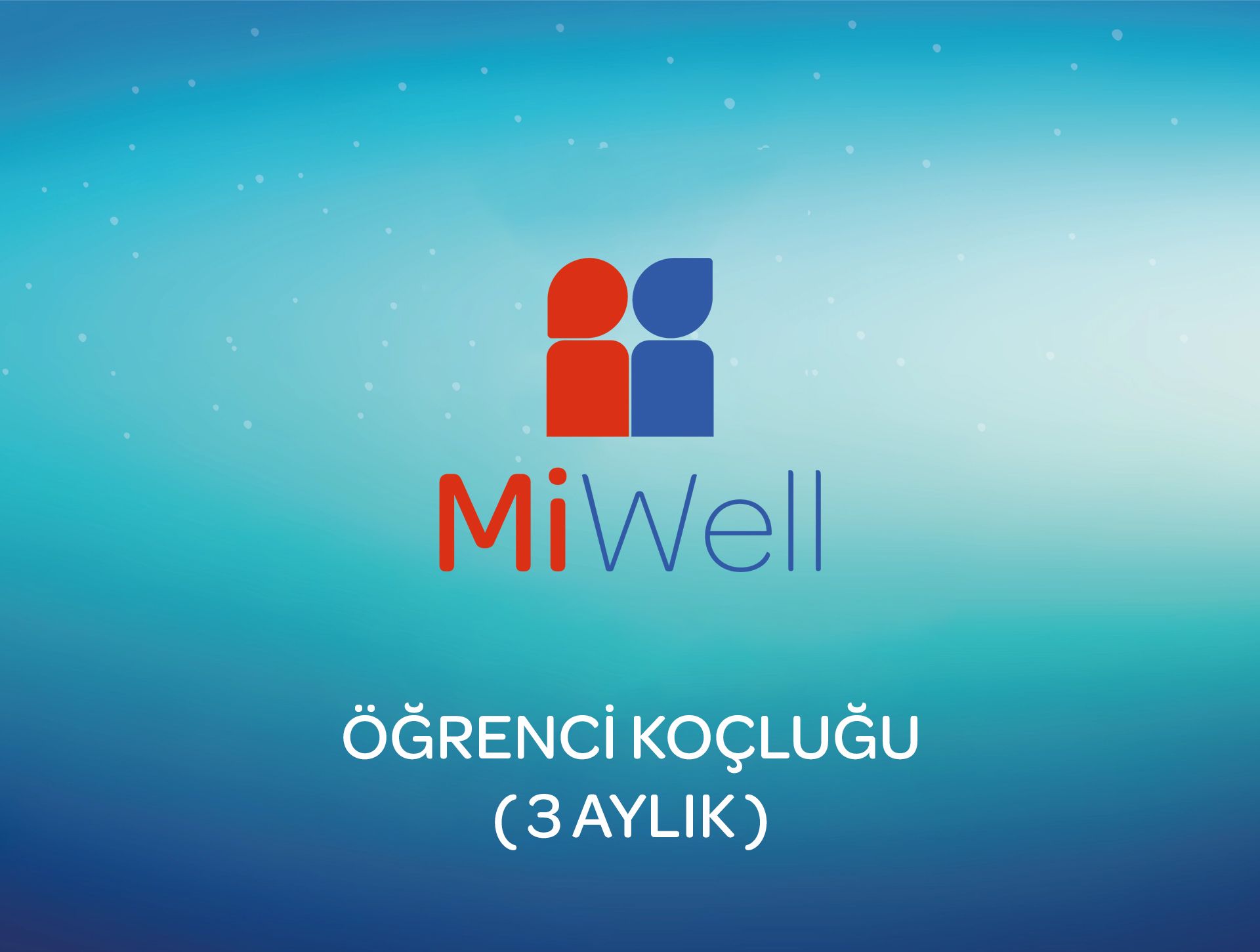 Öğrenci Koçluğu 3 Aylık